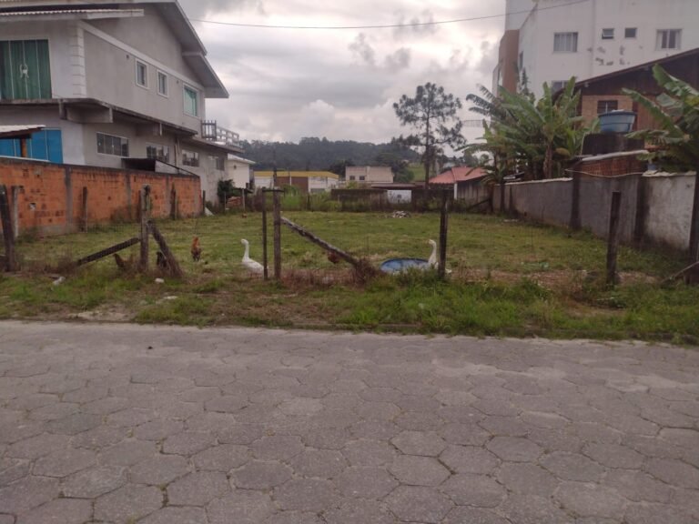 Terreno-Michel-2-1